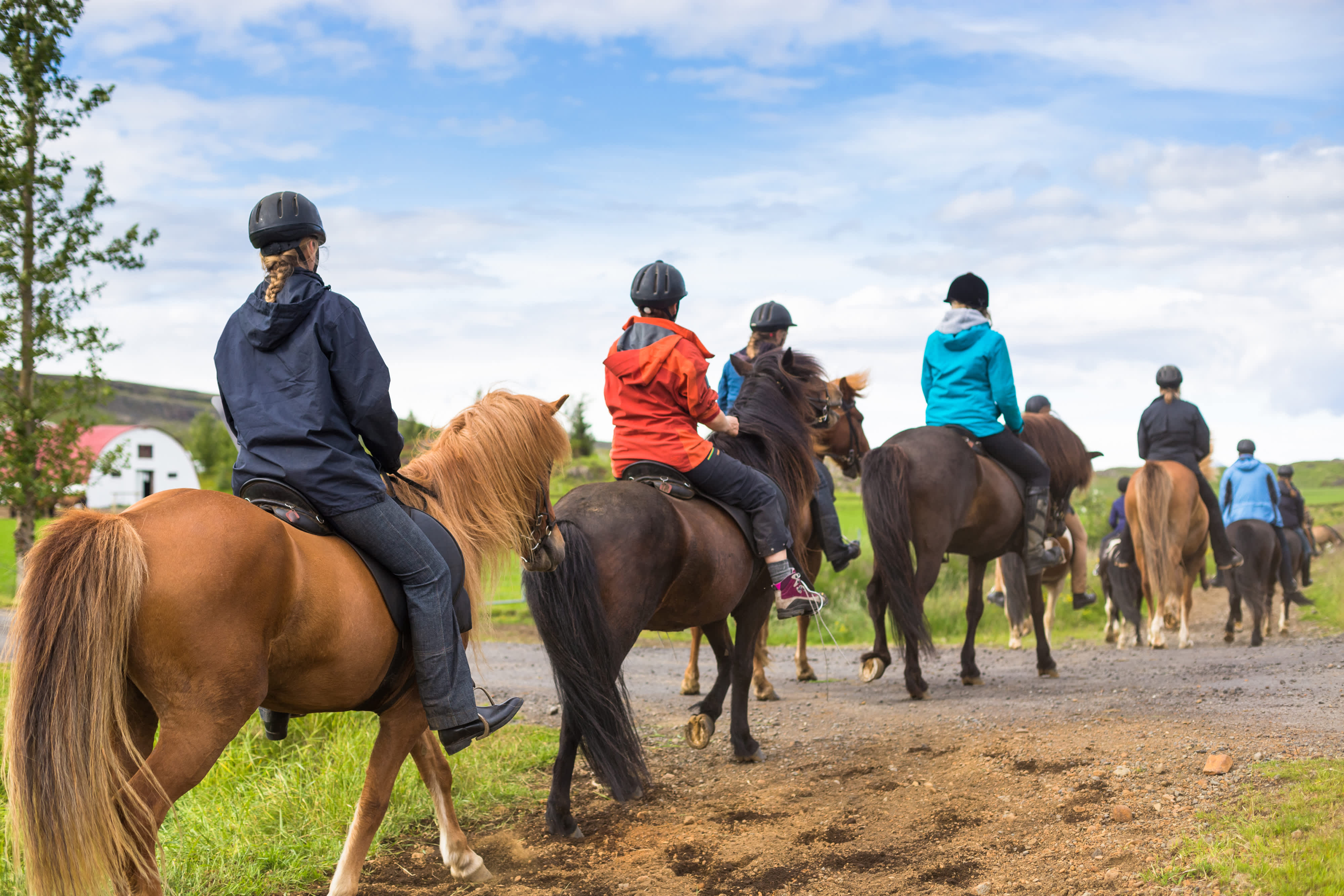 horses and-wine-in-the-winelands-6755