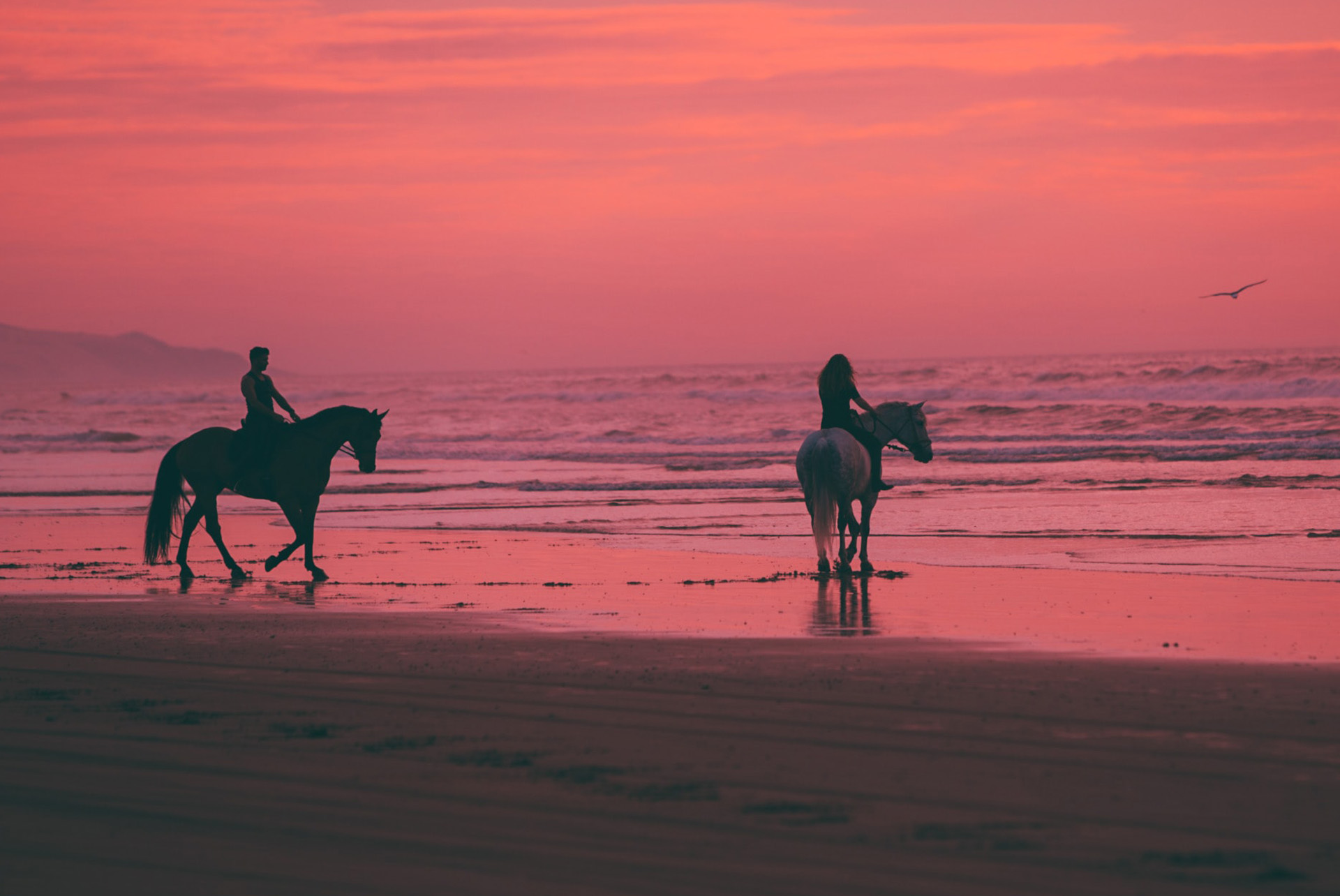 horses and-wine-in-the-winelands-6755